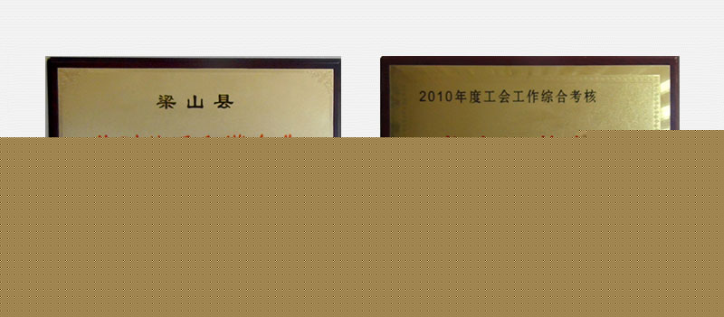 企業(yè)榮譽(yù)